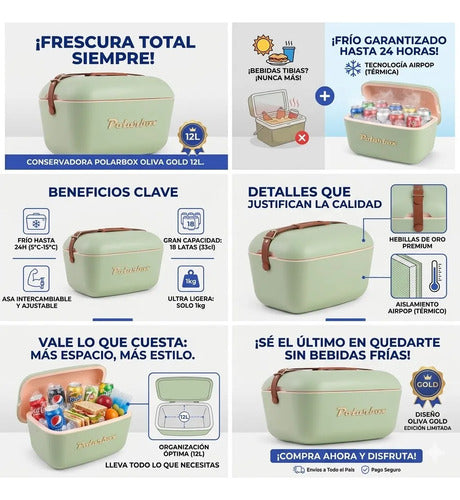 Heladera Termica Portatil Vintage 12 Lts Ideal Para Acampar Aleatorio