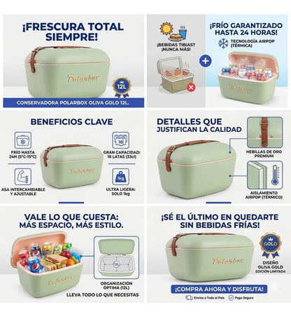 Heladera Termica Portatil Vintage 12 Lts Ideal Para Acampar Aleatorio