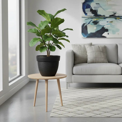 Maceta Decorativa Plástico Reforzado Redonda Texturizada Negro