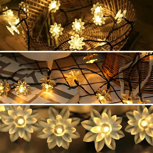 Guia Solar Guirnalda Luces Led Calidas Y Rgb Lamparas 5 Mts