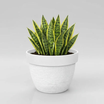 Maceta Plastica Texturizada 31x23cm Jardin Redonda Hogar Blanco