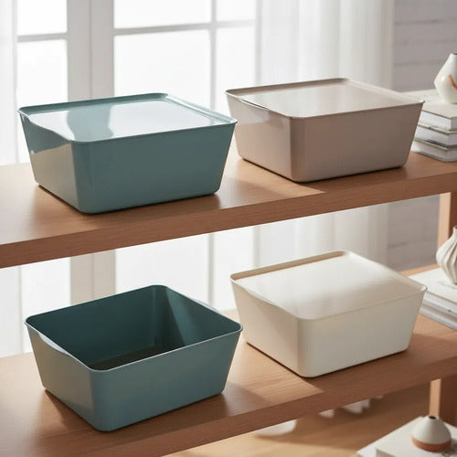 Caja Multiuso Plástica Organizadora Tapa Hogar 35x25x15cm Beige