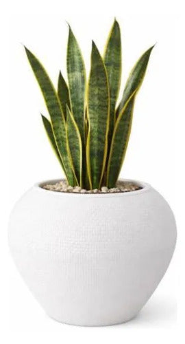 Maceta Plástica Decorativa Texturada Redonda Drenaje 18x24cm Blanco